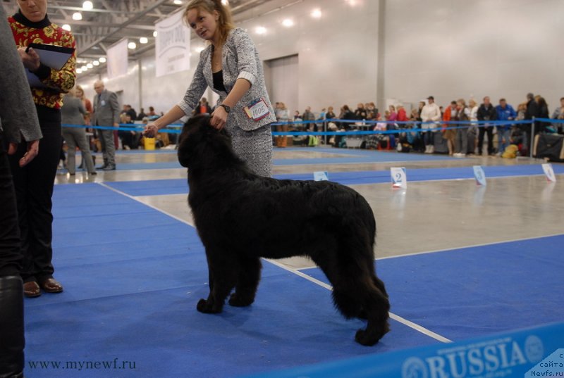 Фотография № 137335