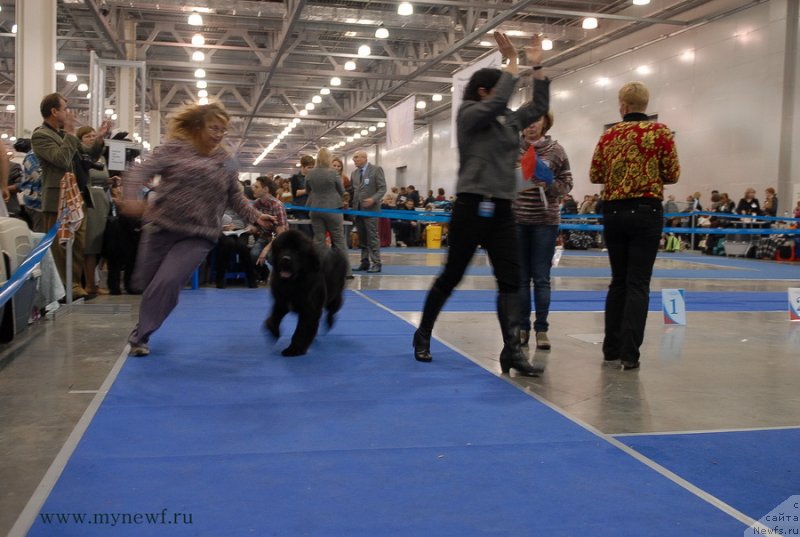 Фотография № 137336