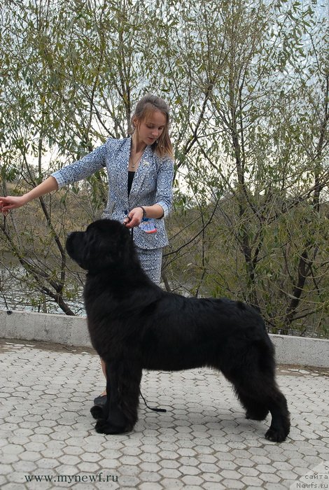 Фотография № 137339