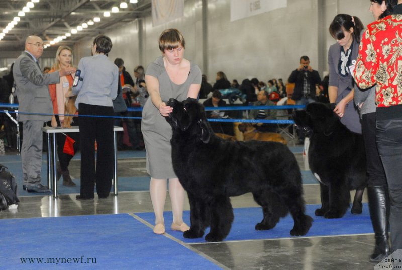 Фотография № 137343