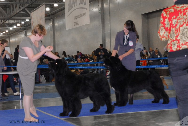 Фотография № 137344