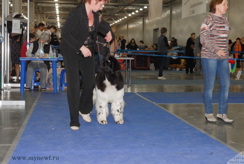 Фотография № 137356