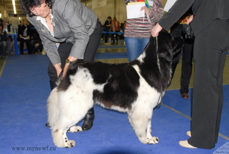 Фотография № 137359