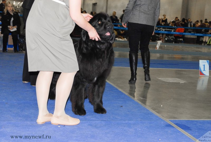 Фотография № 137361