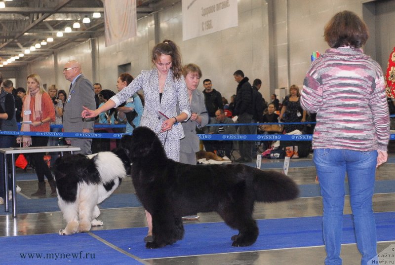 Фотография № 137364