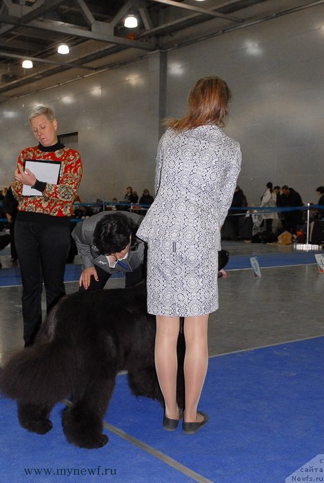 Фотография № 137365