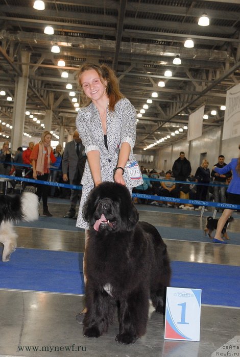 Фотография № 137366