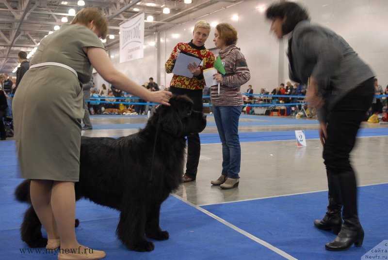 Фотография № 137367