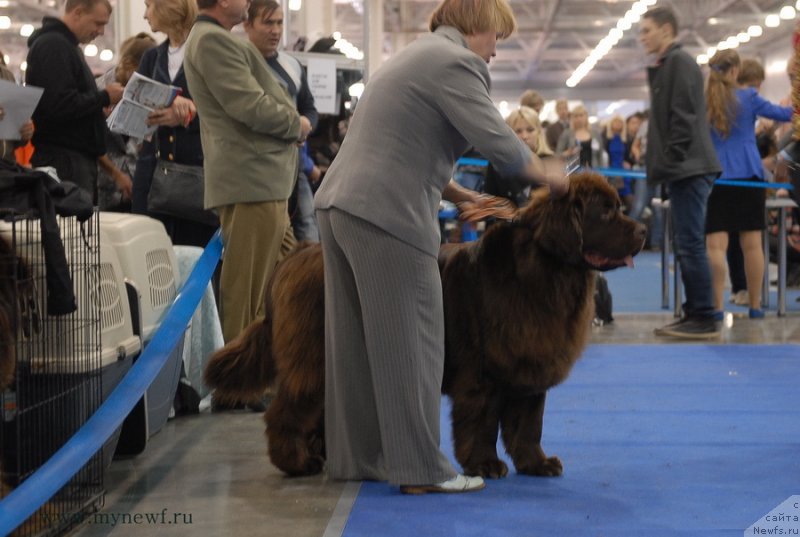 Фотография № 137368