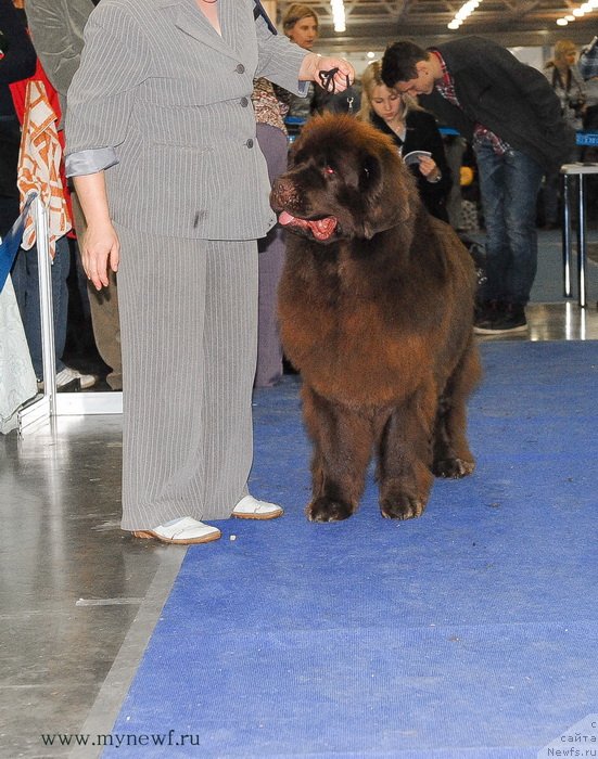 Фотография № 137370