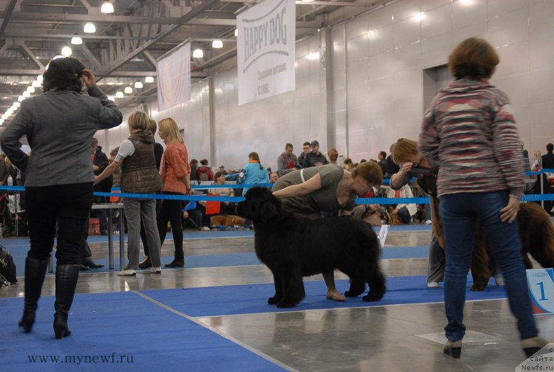 Фотография № 137371