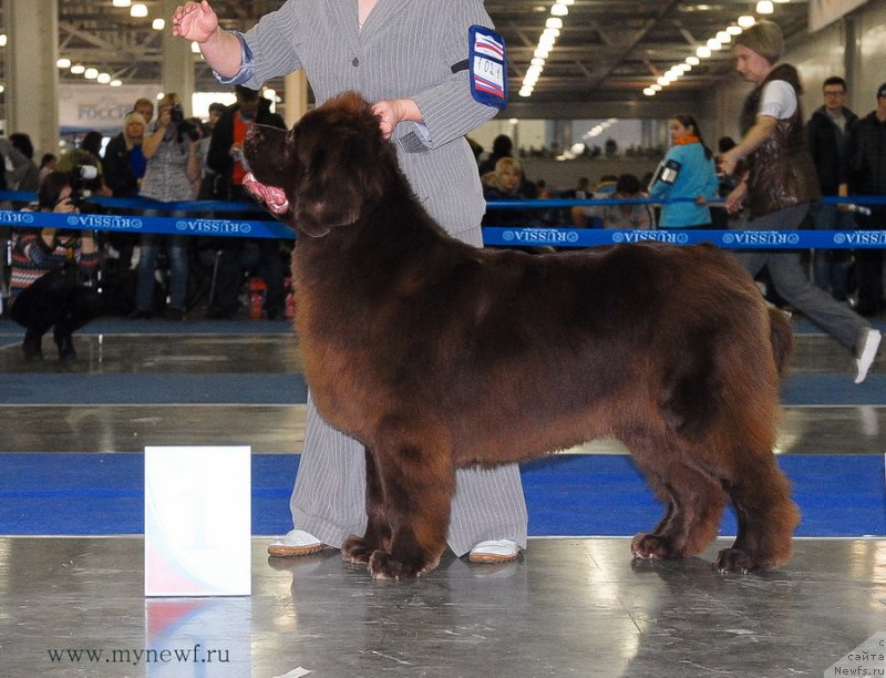 Фотография № 137373