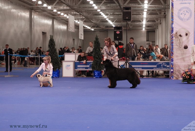 Фотография № 137376