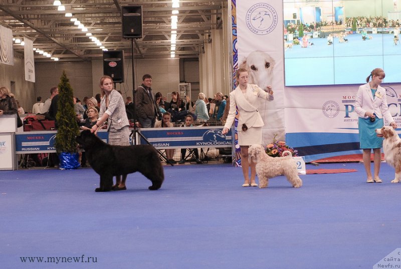 Фотография № 137377