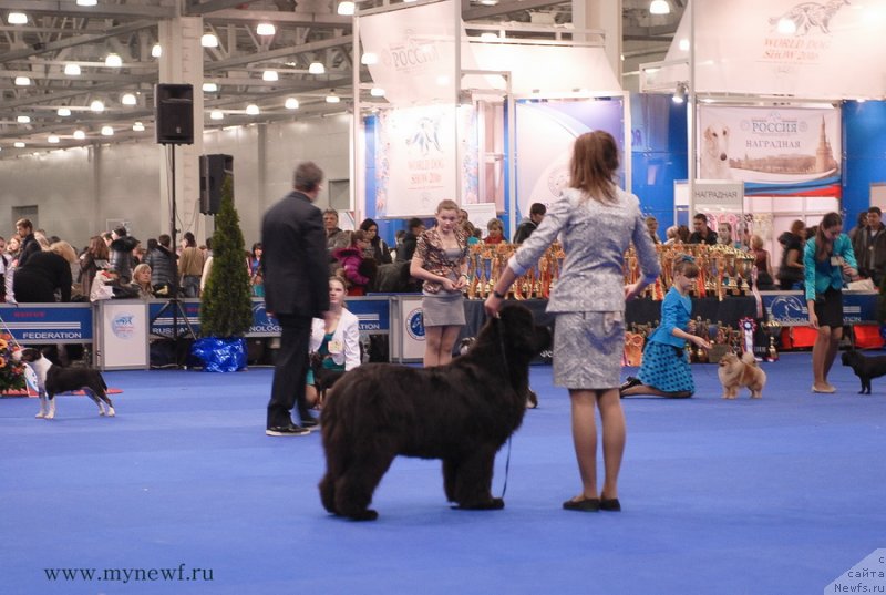 Фотография № 137380