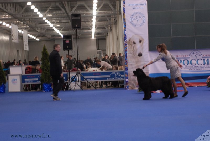 Фотография № 137382