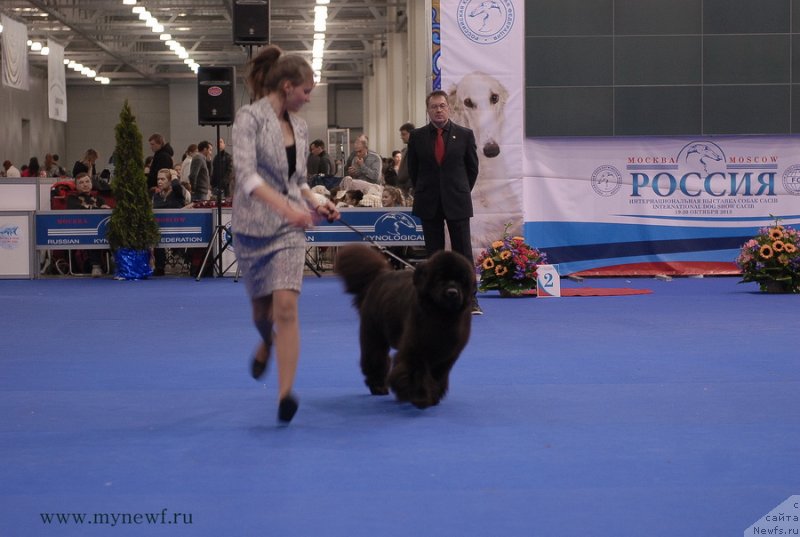 Фотография № 137384