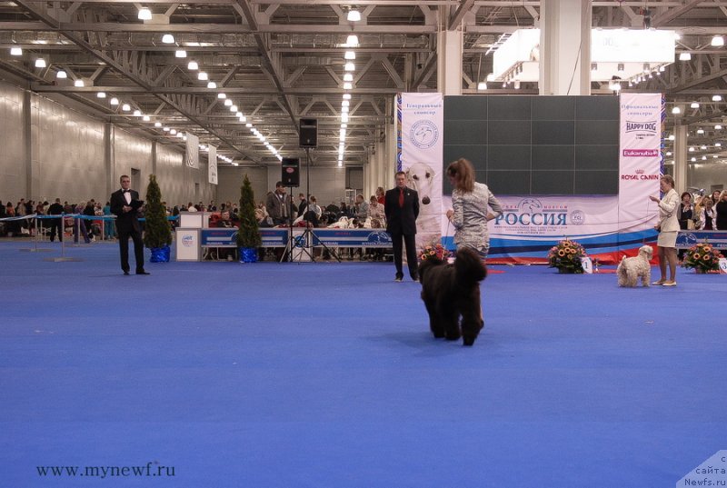 Фотография № 137385