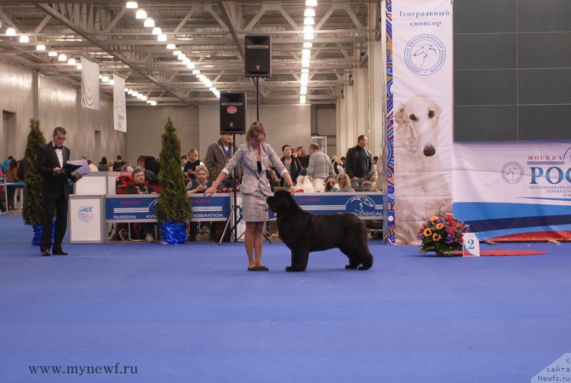 Фотография № 137386