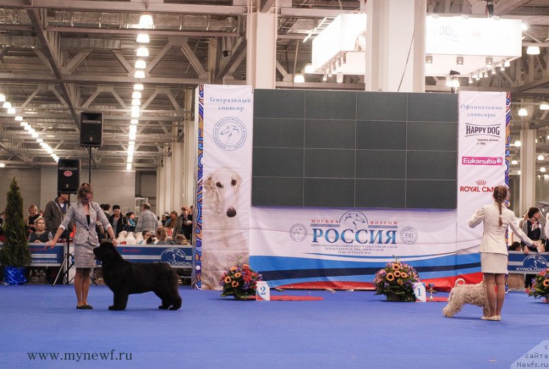 Фотография № 137387