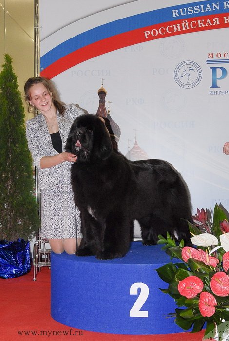 Фотография № 137390