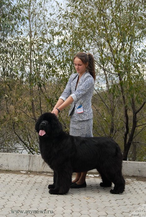 Фотография № 137392