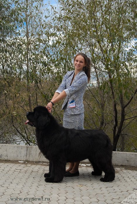 Фотография № 137393