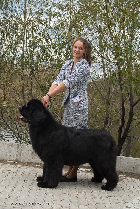 Фотография № 137394