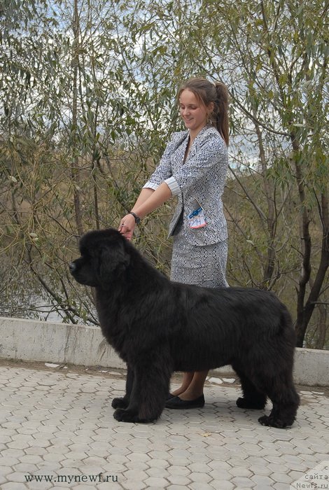 Фотография № 137395