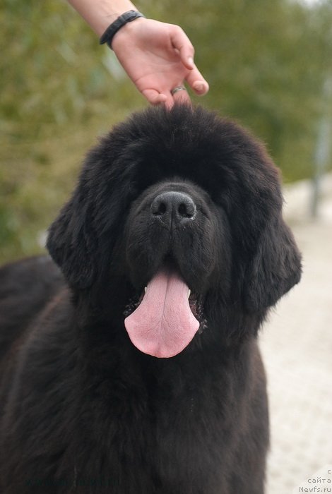 Фотография № 137400