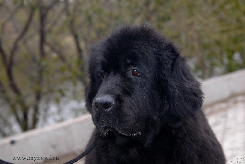 Фотография № 137404