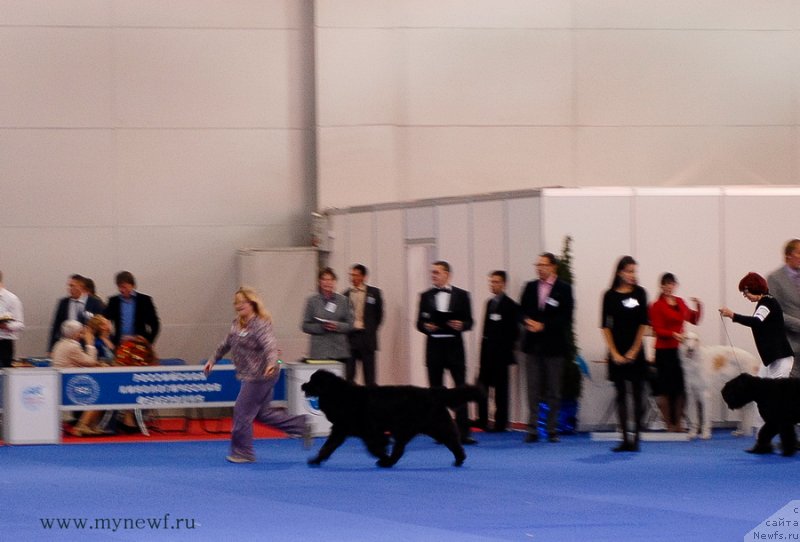 Фотография № 137409