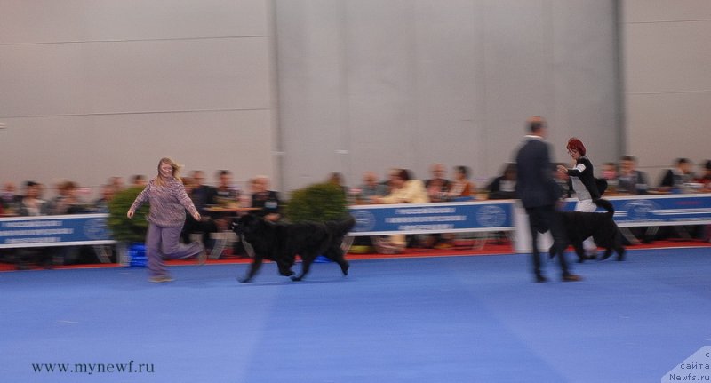 Фотография № 137410