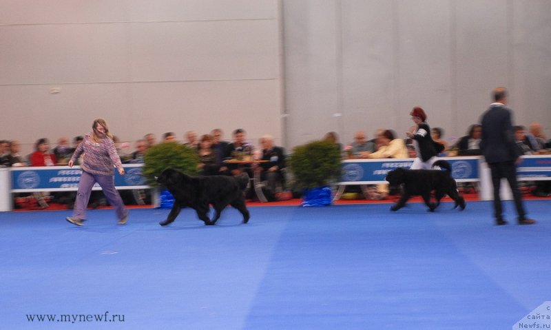 Фотография № 137411