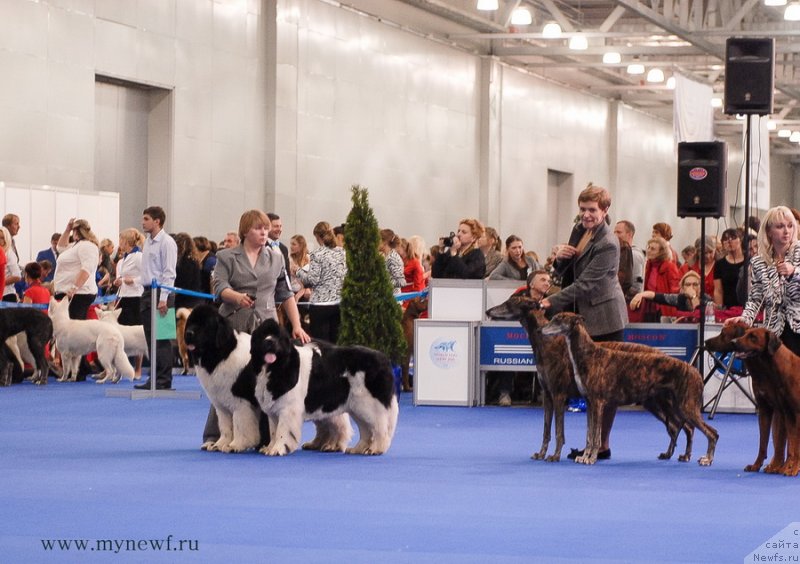 Фотография № 137413