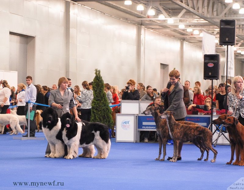 Фотография № 137414