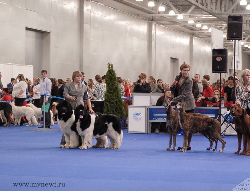 Фотография № 137415