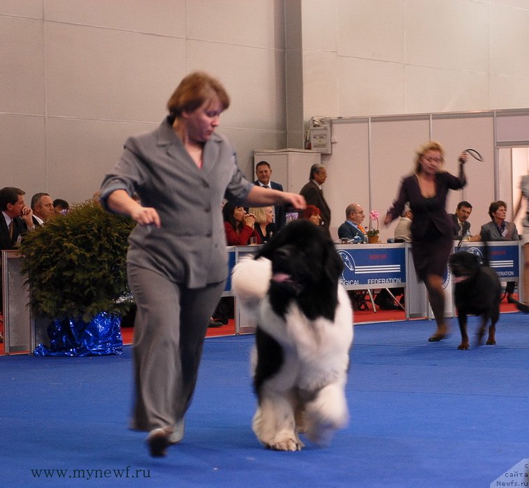 Фотография № 137418