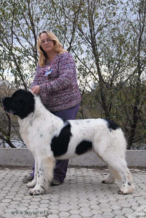 Фотография № 137424