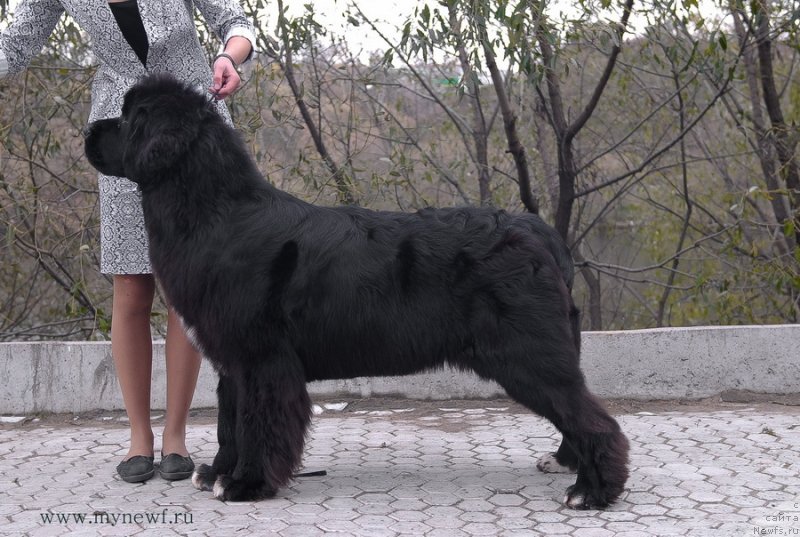 Фотография № 137430