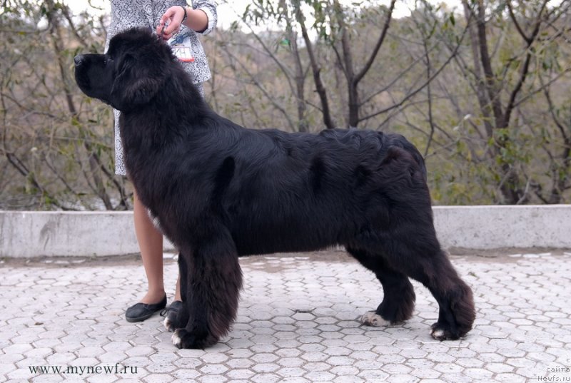 Фотография № 137431