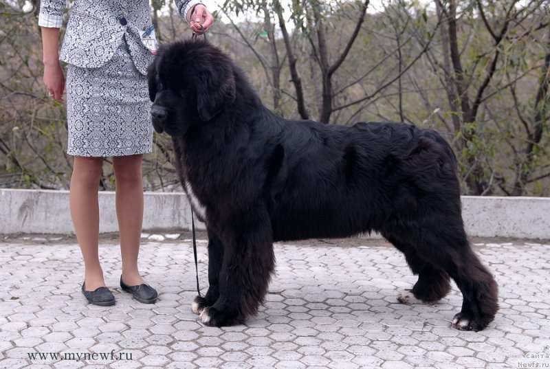 Фотография № 137432