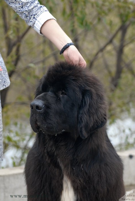 Фотография № 137433