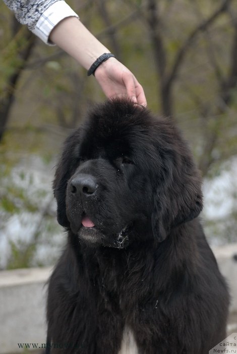 Фотография № 137435