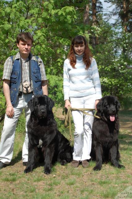 Фото: Олег Бочаров, ньюфаундленд Маг Исполин Копперфильд, ньюфаундленд Рыцарь Благородный от Марлеон Дусвик, Дарья Новицкая