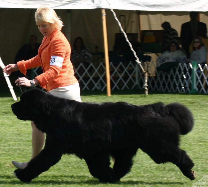 Фотография № 137556