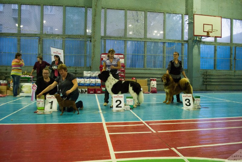 Фотография № 137569