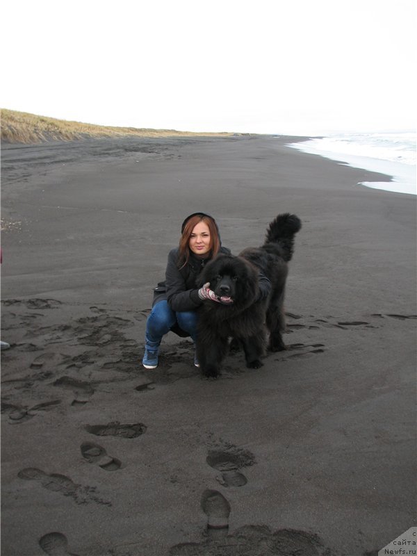 Фото: Sent Djons Zone of Fire.