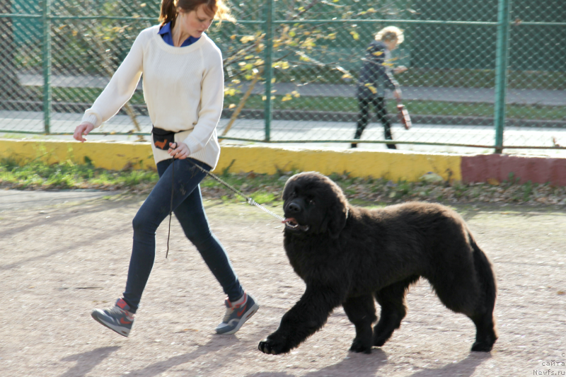 Фотография № 137574