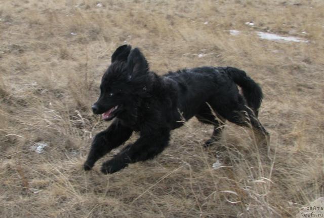 Фотография № 13761